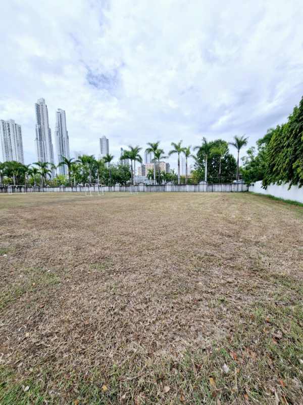 Open grassy lot bordered with palm trees overlooking Panama City skyline in luxury Santa María neighborhood