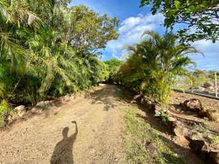 Farm for Sale in Rodeo Viejo - 3 bedrooms