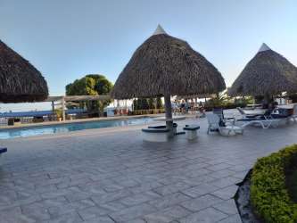 Resort-style swimming pool with palm-roof umbrellas, sun loungers and gardens in Coronado Panama