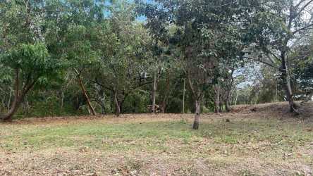 Vacant natural landscape lot ready to develop inside Costa Esmeralda San Carlos Panama