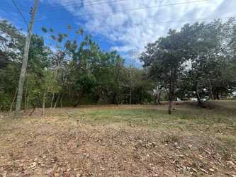 Wooded lot with grass and road access inside Costa Esmeralda beach area Panama