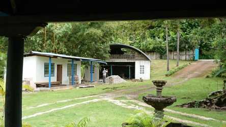 Shoreline of tropical estate in Colón with concrete seawall and palm trees