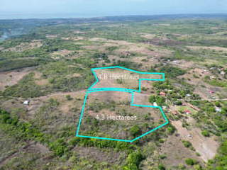 Land for Sale in San José - 0 bedrooms