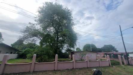 Large fenced garden with mature tree at corner property Guadalupe La Chorrera