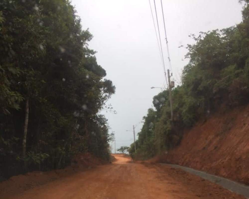Rural land access via dirt road surrounded by dense greenery and utility lines in Cerro Azul