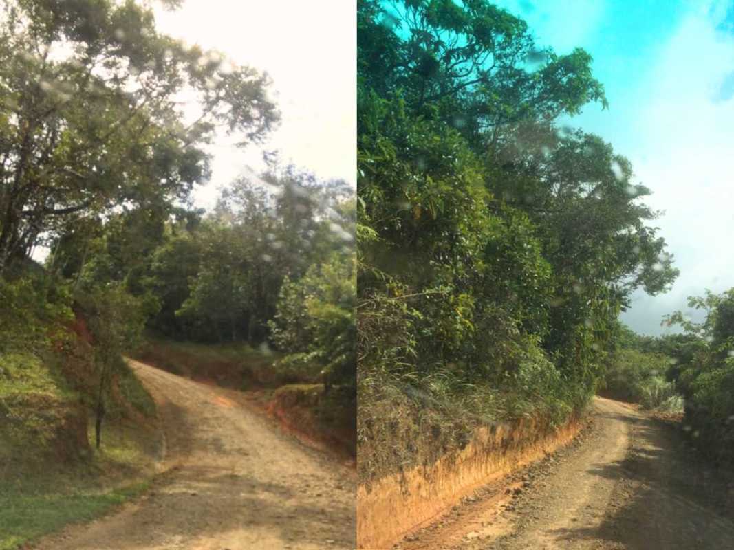 Forested mountain terrain with dirt road access in Altos de Pacora Cerro Azul Panama