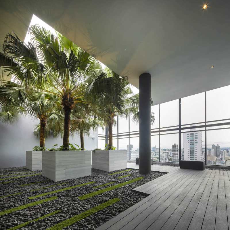 Indoor sky garden with palm trees ocean skyline Nuovo Panama