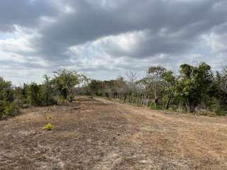 Land for Sale in San Carlos - 0 bedrooms