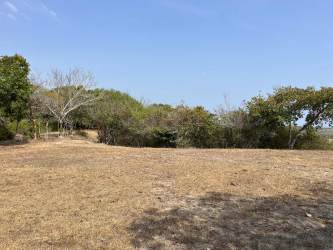 Lush trees and green countryside on rural Panama estate land for sale