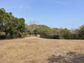 Dry pasture land with scattered trees under sunny sky at San Carlos Panama