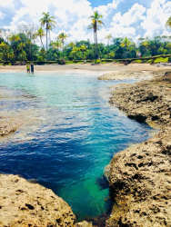 Clear turquoise Caribbean waters with rocky shoreline and tropical greenery Palenque Colon Panama