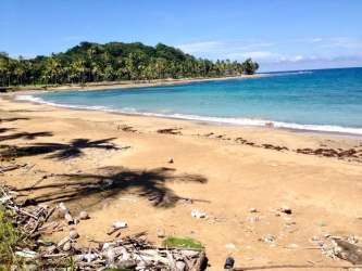 Tropical sandy beach clear blue water palm trees tranquil coastal site Palenque Colon