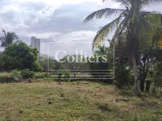 Palm tree dotted 5,000m2 lot close to beach Nueva Gorgona Panama