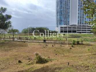 Beach area flat lot with palm trees Nueva Gorgona near Panama beaches