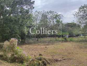 Flat 5,000m2 land with access road close to Playa Gorgona Panama