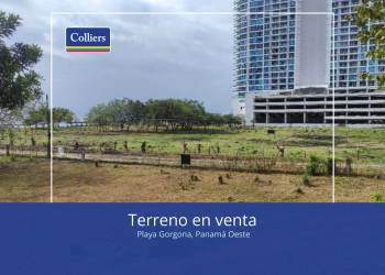 5,000m² Beach Area Lot Nueva Gorgona Ideal for Residential Project