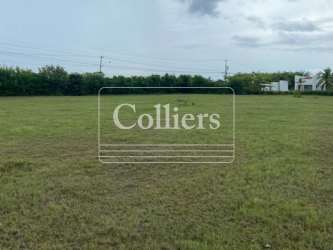 Clear land plot close to Playa Blanca shoreline ideal for condos or hotel development Panama