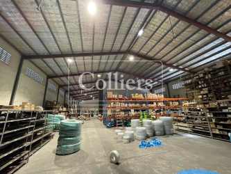 Industrial storage area with high roof and shelving France Field Panama