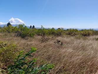 Open field with dry grass, shrubs, and panoramic countryside views in Boquete Chiriquí available for development