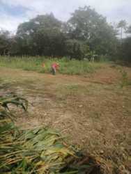 Open plot with person visible and vegetation, suitable for farming or development near El Valle Panama