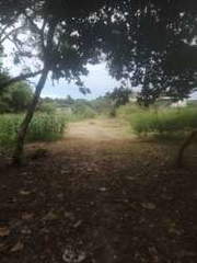 Land Lot for Sale in Juan Díaz - 0 bedrooms