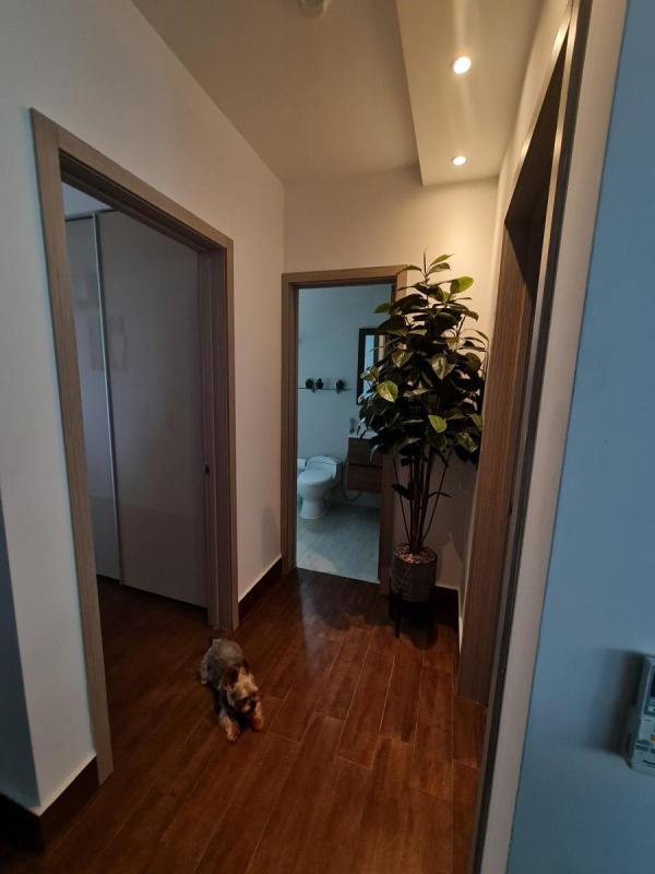 Bright bedroom with accent wall, large window at PH Costa Sur Gardens Panama