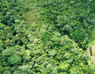 Aerial photo of dense forest canopy with clearing on titled land for sale Campana Capira Panama