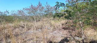 Land for Sale in Chitré - 0 bedrooms