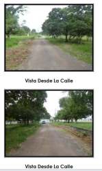 Tree-lined dirt road access to land with open grassy areas at Playa Leona Capira