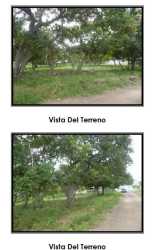 Vacant terrain with fence, trees, and open space Playa Leona