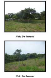 Plot of land with grass and surrounding trees Playa Leona Capira