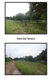 Open coastal lot with vegetation and dirt road access