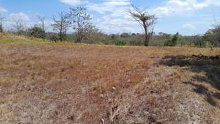 Land / Lot for For Sale in San Carlos - 0 bedrooms