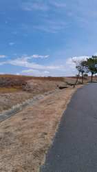 Large open residential lot inside Vista Mar Beach Resort in San Carlos with ocean proximity