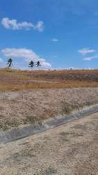 Vacant spacious land in Vista Mar San Carlos facing golf course fairways with ocean breezes