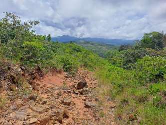 Forest stream flowing through fertile farmland with dense vegetation in Boquete