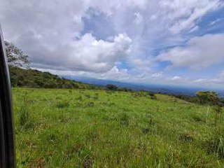 Land for Sale in Jaramillo - 0 bedrooms