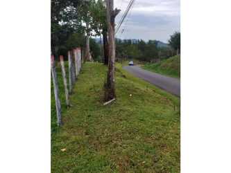 Paved access road with roadside greenery and utility poles in Toabré Penonomé Panama