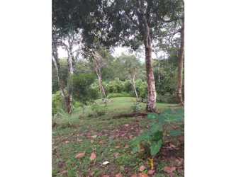 Natural forest terrain within large land parcel in Coclé Panama