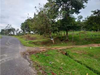 Tropical vegetation and wooded terrain on farmland in Penonomé Coclé Panama