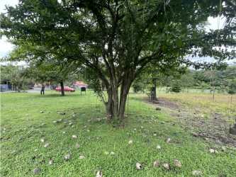 Paved road leading to large residential lot with greenery in Bejuco Chame Panama