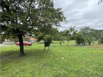 Open green land with trees perfect for building in Bejuco Chame Panama