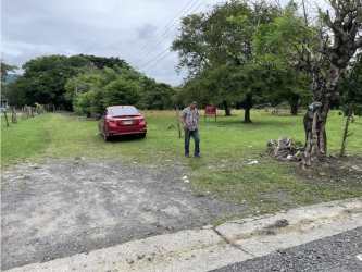 Large flat vacant lot with mature trees and signage in Bejuco Chame near Coronado Panama