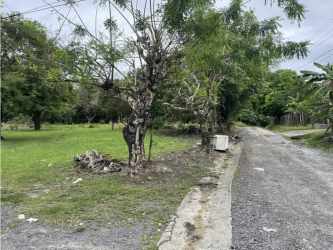 Large open lot with trees near Panamericana in Bejuco Chame ideal for building