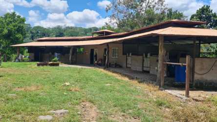 Rustic horse stable structures with metal roofs and fenced yards at farm Renacimiento Panama
