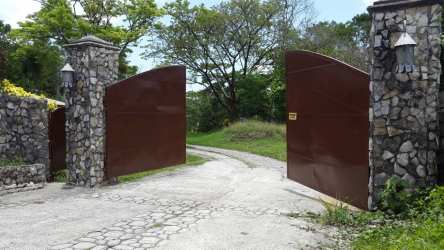 Multiple cows feeding and resting in shed pens at a dairy farm Renacimiento Panama