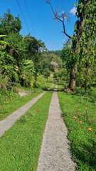 Agricultural Land and Dairy Facility for Sale in Renacimiento - 5 bedrooms