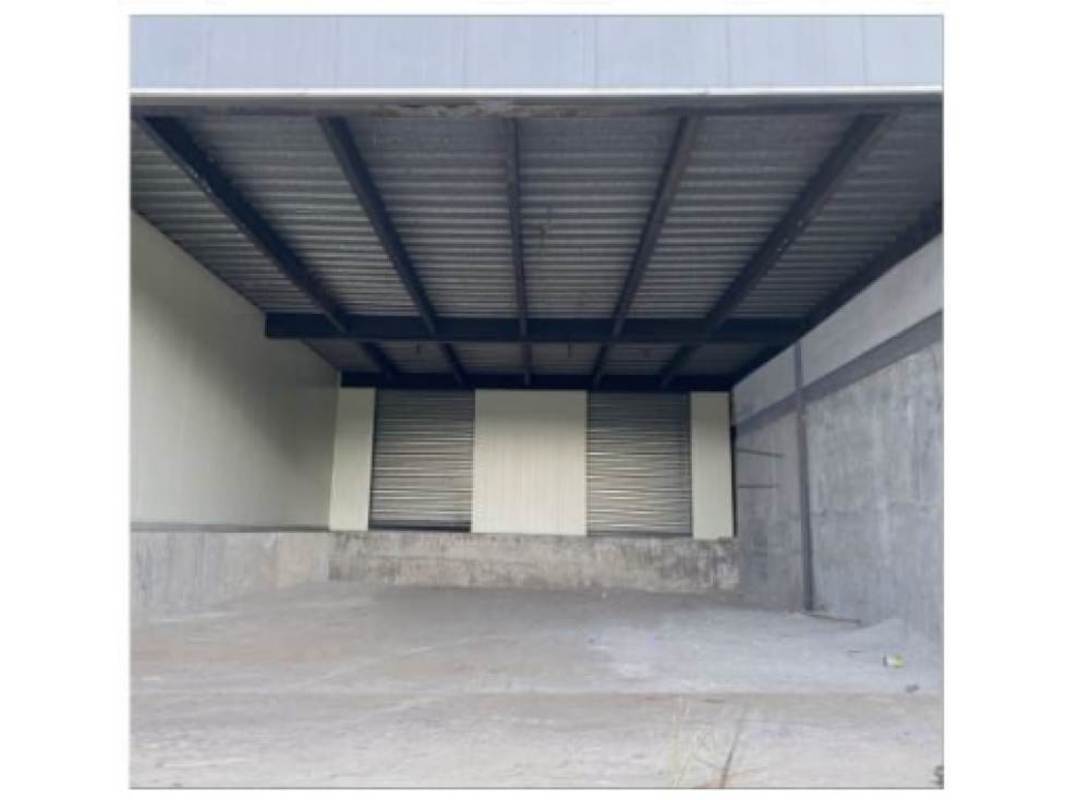 Covered loading dock area with elevated platforms and roll-up doors at Milla 8 Parque Industrial Panama