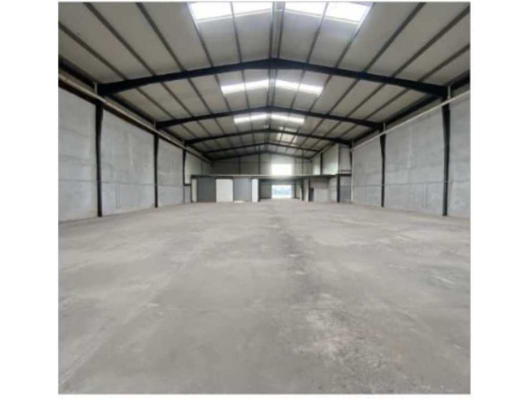 Spacious interior view of warehouse with 10m ceiling and skylights at Milla 8 Parque Industrial Panama