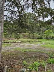 Land for Sale in Tierras Altas - 0 bedrooms
